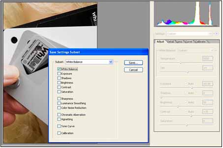 Adobe Photoshop Save Settings Subset dialog box