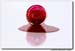 StillLife_RedNailPolishFull_IMG_0077