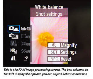 Canon 7D RAW image conversion screen