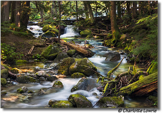 Deception falls