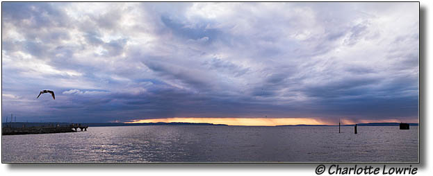 Puget Sound sunset