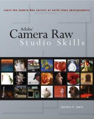 Camera Raw Studio Skills