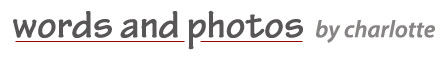 Words and Photos Web-site logo